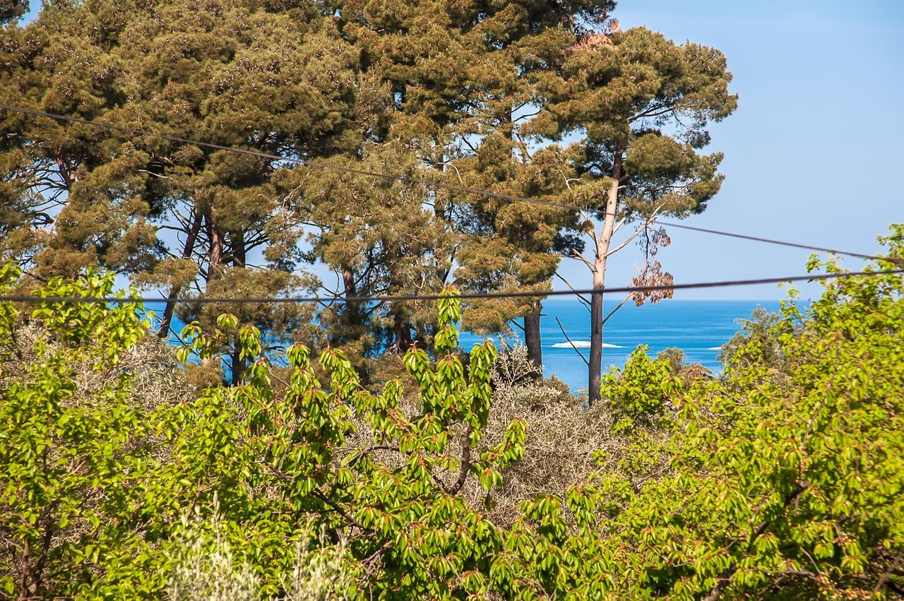 Apartments Carmelo Ρόβινι Εξωτερικό φωτογραφία